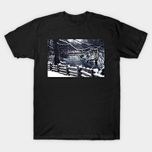 The Bronx Zoo on Ice T-Shirt